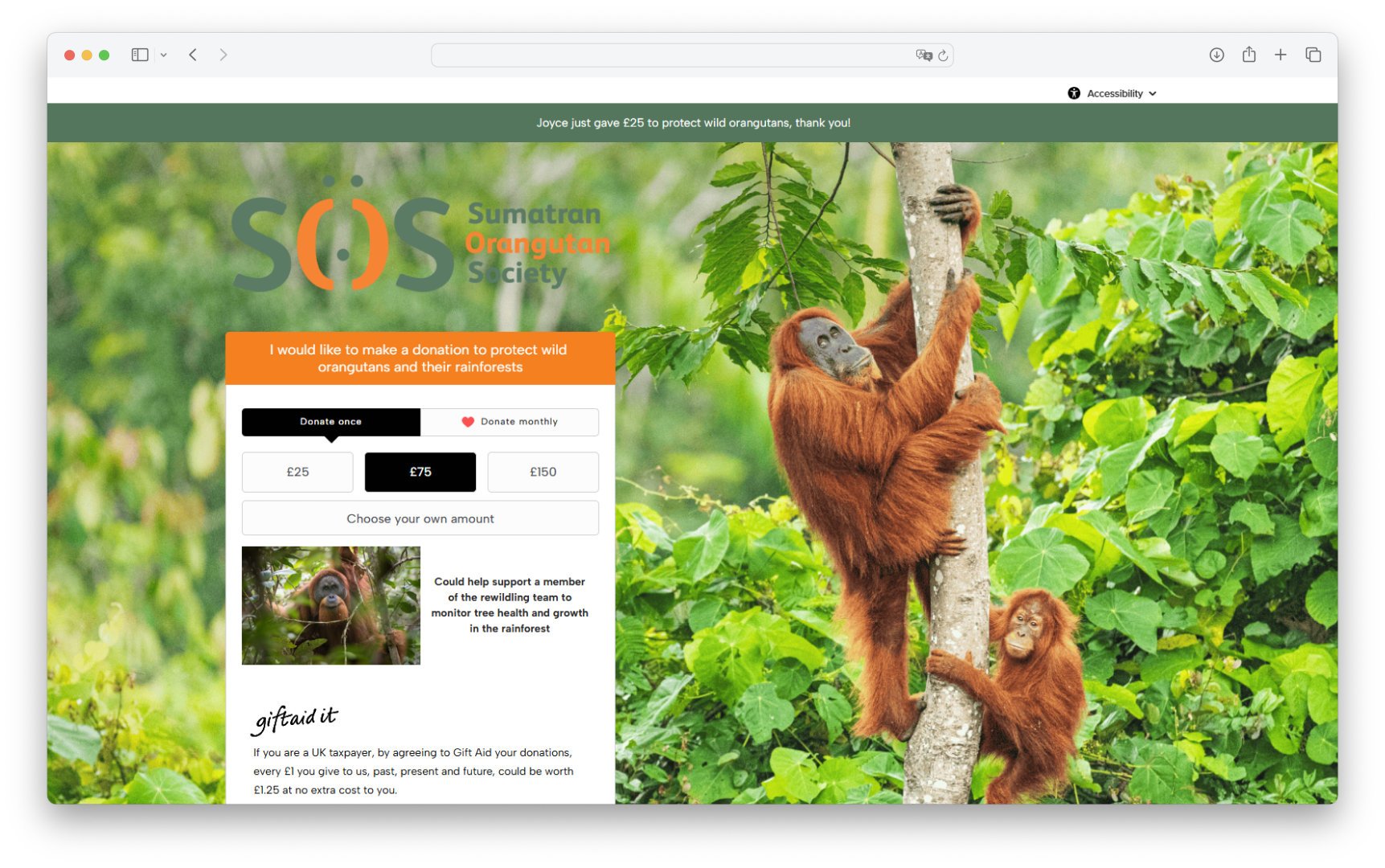 Mockup - SOS Sumatran Orangutan Society