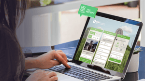 article_tax_receipt_1